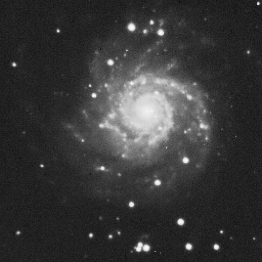 m74.jpg