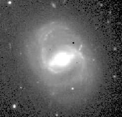 m91big.jpg